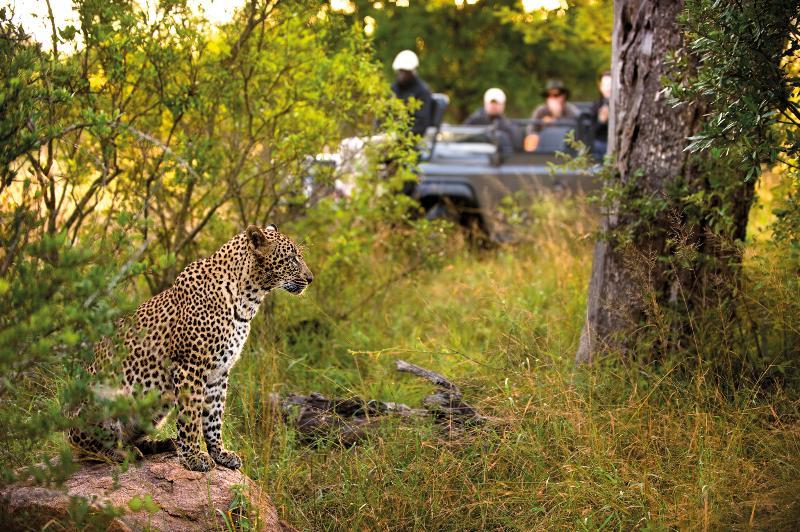 Lion Sands River Lodge Sabi-Sand-Reservat Exterior foto